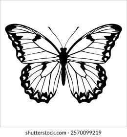 Black monochrome Butterfly Silhouette Vector illustration