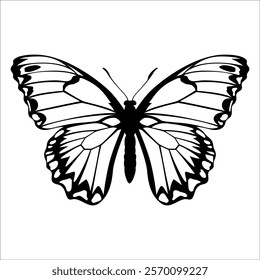 Black monochrome Butterfly Silhouette Vector illustration