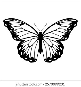 Black monochrome Butterfly Silhouette Vector illustration