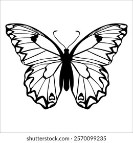 Black monochrome Butterfly Silhouette Vector illustration