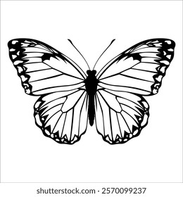 Black monochrome Butterfly Silhouette Vector illustration