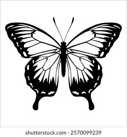 Black monochrome Butterfly Silhouette Vector illustration