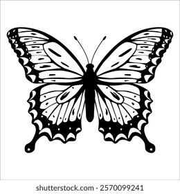 Black monochrome Butterfly Silhouette Vector illustration