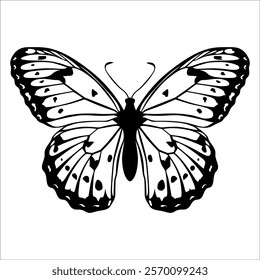 Black monochrome Butterfly Silhouette Vector illustration