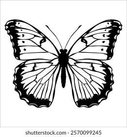 Black monochrome Butterfly Silhouette Vector illustration