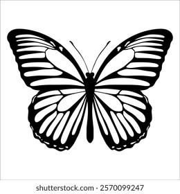 Black monochrome Butterfly Silhouette Vector illustration