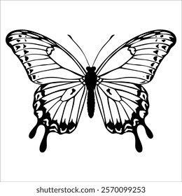 Black monochrome Butterfly Silhouette Vector illustration