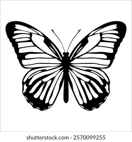 Black monochrome Butterfly Silhouette Vector illustration