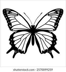 Black monochrome Butterfly Silhouette Vector illustration