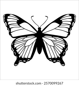 Black monochrome Butterfly Silhouette Vector illustration