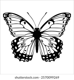 Black monochrome Butterfly Silhouette Vector illustration