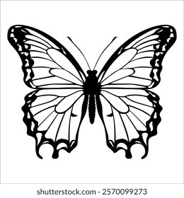 Black monochrome Butterfly Silhouette Vector illustration