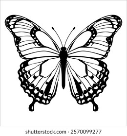 Black monochrome Butterfly Silhouette Vector illustration