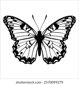 Black monochrome Butterfly Silhouette Vector illustration