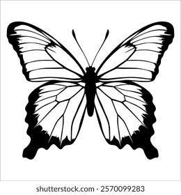 Black monochrome Butterfly Silhouette Vector illustration