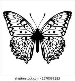 Black monochrome Butterfly Silhouette Vector illustration