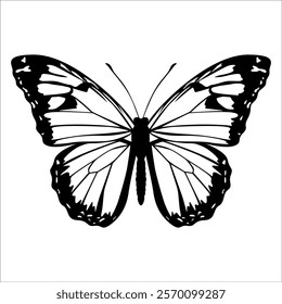 Black monochrome Butterfly Silhouette Vector illustration