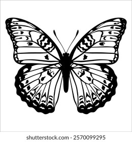 Black monochrome Butterfly Silhouette Vector illustration