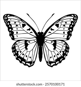 Black monochrome Butterfly Silhouette Vector illustration