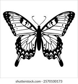 Black monochrome Butterfly Silhouette Vector illustration