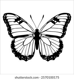 Black monochrome Butterfly Silhouette Vector illustration