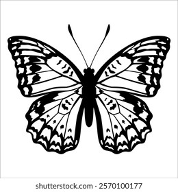 Black monochrome Butterfly Silhouette Vector illustration