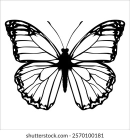 Black monochrome Butterfly Silhouette Vector illustration