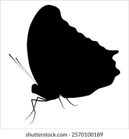 Black monochrome Butterfly Silhouette Vector illustration