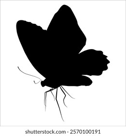 Black monochrome Butterfly Silhouette Vector illustration