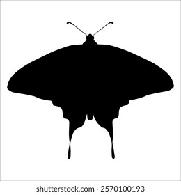 Black monochrome Butterfly Silhouette Vector illustration