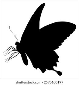 Black monochrome Butterfly Silhouette Vector illustration