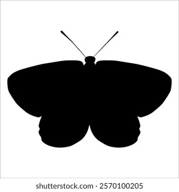 Black monochrome Butterfly Silhouette Vector illustration