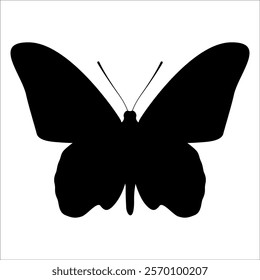 Black monochrome Butterfly Silhouette Vector illustration