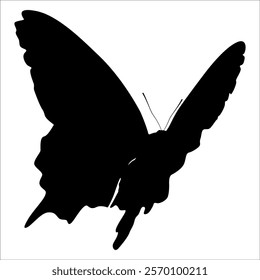 Black monochrome Butterfly Silhouette Vector illustration