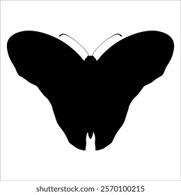 Black monochrome Butterfly Silhouette Vector illustration