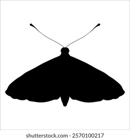 Black monochrome Butterfly Silhouette Vector illustration