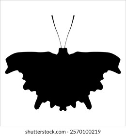 Black monochrome Butterfly Silhouette Vector illustration