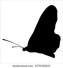 Black monochrome Butterfly Silhouette Vector illustration