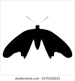 Black monochrome Butterfly Silhouette Vector illustration