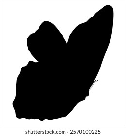 Black monochrome Butterfly Silhouette Vector illustration