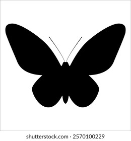 Black monochrome Butterfly Silhouette Vector illustration