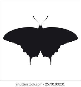 Black monochrome Butterfly Silhouette Vector illustration