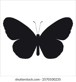 Black monochrome Butterfly Silhouette Vector illustration