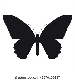 Black monochrome Butterfly Silhouette Vector illustration