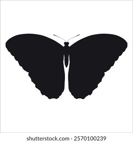 Black monochrome Butterfly Silhouette Vector illustration