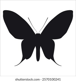 Black monochrome Butterfly Silhouette Vector illustration