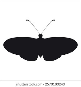 Black monochrome Butterfly Silhouette Vector illustration