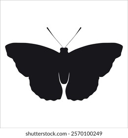 Black monochrome Butterfly Silhouette Vector illustration