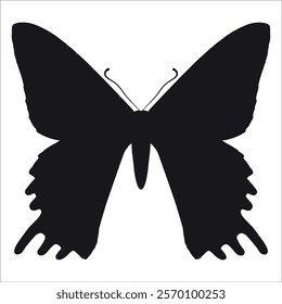 Black monochrome Butterfly Silhouette Vector illustration