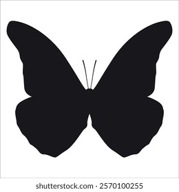 Black monochrome Butterfly Silhouette Vector illustration